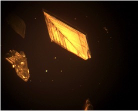Crystal under microscope