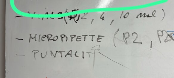 Whiteboard text, with "Italian citizenship for Lincoln" highlighted