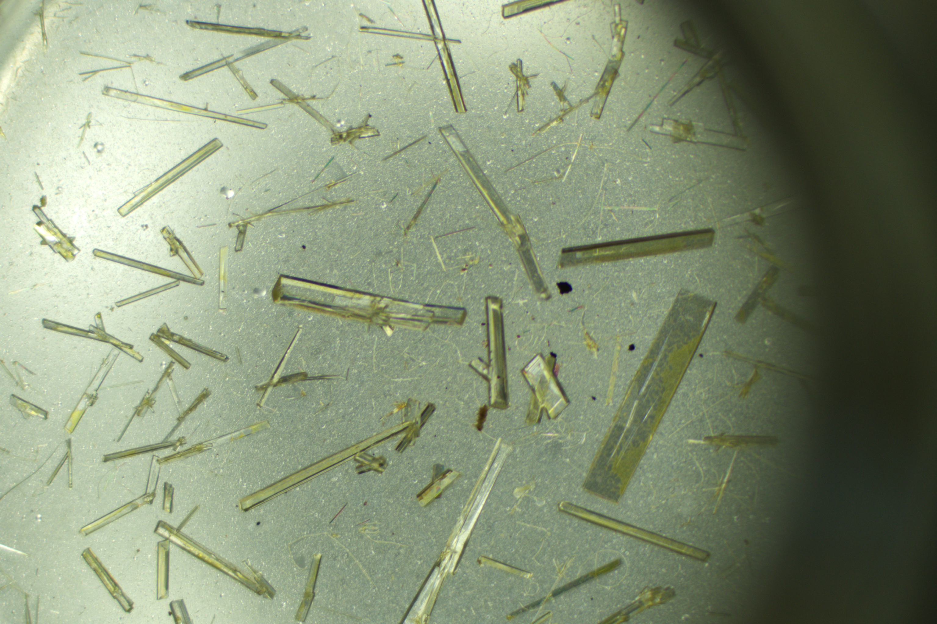 Crystallization vials evaporating in the lab