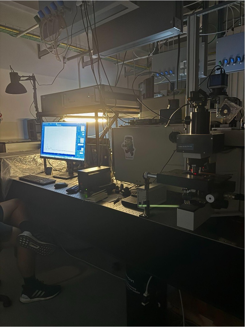 Raman spectroscopy setup used to analyze a trans-cinnamic acid crystal